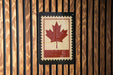 A red maple leaf is displayed on a wooden wall, mounted on a black border.