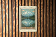 A sign for the Denali Reflection Pond, featuring a mountain landscape with a lake and trees, mounted on a wooden wall.