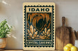 A framed poster of the crystal caves in Idaho hangs on a wall, surrounded by kitchen utensils and a potted plant.