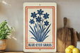 a white sign with a blue design, displaying the text "BLUE-EYED GRASS" and a decorative border. The sign is placed on a wooden shelf, with a potted plant to the left and a wooden cutting board to the right.