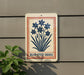 a sign with a blue flower design and the text "BLUE-EYED GRASS" on a gray wall.