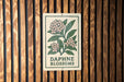 a sign with a floral design and the text "Daphne blossoms" on it, mounted on a wooden wall.