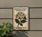 A decorative sign with a floral design and text, mounted on a wall next to a plant.