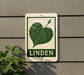 A sign with a green leaf and the word "LINDEN" printed on it, mounted on a wall.