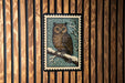 A framed image of an owl is displayed on a wooden wall.