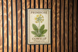 A vintage-style stamp or label with a picture of a yellow flower and green leaves, mounted on a wooden wall.