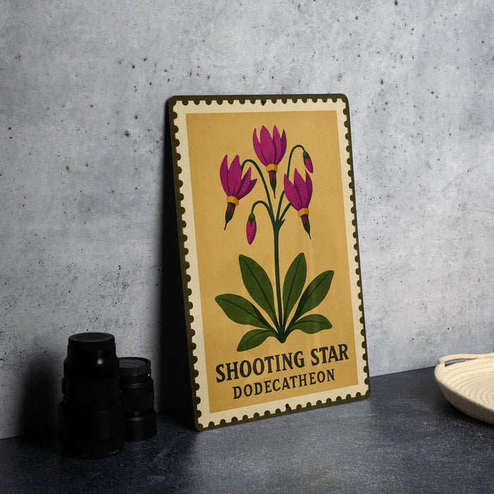 A framed illustration of a purple flower with green leaves, titled "Shooting Star" and "Dodecatheon", is displayed on a gray wall.