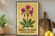 A framed illustration of a purple flower with green leaves, titled "Shooting Star Dodecathenon", is displayed on a shelf next to a wooden cutting board and a potted plant.
