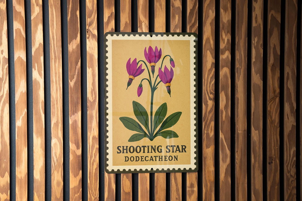 A framed image of purple flowers is displayed on a wooden wall, with the text "SHOOTING STAR DODECATHEON" printed on it.
