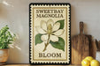 A framed illustration of a white magnolia flower with green leaves, accompanied by the text "SWEETBAY MAGNOLIA BLOOM" on a wooden shelf.