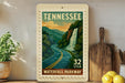 A framed postcard depicting a scenic waterfall in Tennessee, with a road winding through the landscape.