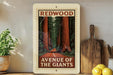 a framed poster of a scenic road leading through a forest of tall trees, with the text "REDWOOD AVENUE OF THE GIANTS" prominently displayed.