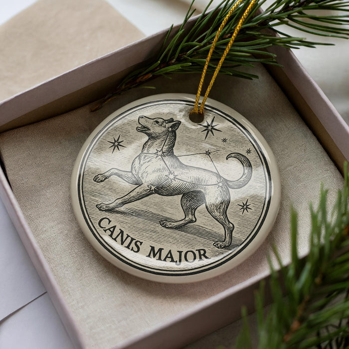 A circular ornament with a dog illustration and the text "Canis Major" on it, placed in a box with pine branches.