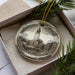 A decorative ornament featuring a church with a steeple, displayed in a box with pine branches.