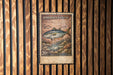 A 20 cent stamp from the country of Amberjack (greater) featuring a fish illustration.