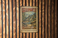 A vintage-style metal stamp depicting a catfish, with the text "Channel Catfish 6¢" and "U.S. POSTAGE ICTALURUS PUCITATUS" printed on it. The stamp is mounted on a wooden wall with vertical slats.