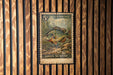 A U.S. postage stamp featuring a green sunfish is displayed on a wooden wall.