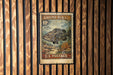 A U.S. postage stamp featuring a large fish, likely a grouper, against a wooden background.