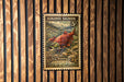 A U.S. postage stamp featuring a red salmon in a natural setting, mounted on a wooden wall.