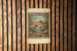 A vintage U.S. postage stamp featuring a rainbow trout, mounted on a wooden wall.