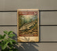 A vintage U.S. postage stamp depicting a sturgeon fish, which is a type of fish with a distinctive appearance, is displayed on a wall.