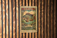 A vintage postage stamp from the state of Oregon, featuring a colorful illustration of a fish, is displayed on a wooden wall.