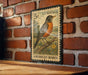 A vintage U.S. postage stamp featuring an American robin is displayed on a brick wall.