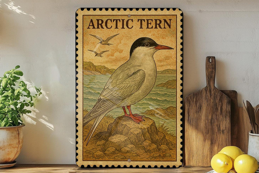 a framed illustration of an Arctic tern, a bird known for its distinctive appearance and habitat. The bird is depicted in a natural setting, with a rocky outcrop and a body of water in the background. The frame has a decorative border, and the text "ARCTIC TERN" is prominently displayed.