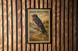 A framed illustration of a barn swallow is displayed on a wooden wall.