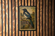 a framed painting of a black and white bird perched on a branch, set against a wooden background with vertical slats.