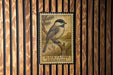 A metal sign featuring a black-capped chickadee perched on a branch, with the text "BLACK-CAPPED CHICKADEE" below the illustration.