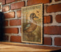 A framed illustration of a blue-winged teal duck is displayed on a brick wall, with a wooden table below it.