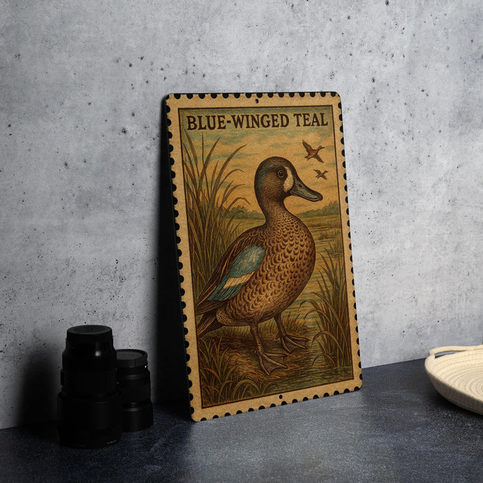A framed illustration of a blue-winged teal duck is displayed on a gray wall, with a small white bowl and black camera lenses to the side.