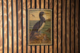 A framed image of a brown booby bird is displayed on a wooden wall.