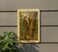 A U.S. postage stamp featuring a brown creeper bird is mounted on a gray wall, with a small green plant to the left.