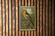A vintage U.S. postage stamp featuring a colorful illustration of a bird perched on a branch, with the text "Bullock's Oriole" and "U.S. POSTAGE 5¢" printed on it.