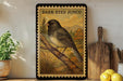 a framed illustration of a dark-eyed junco bird perched on a branch, with a vintage-style border. The bird is surrounded by a natural landscape, including trees and grass. The frame is placed on a wooden surface, with a potted plant and a cutting board nearby.