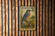 A U.S. postage stamp featuring a bluebird perched on a branch, with the text "EASTERN BLUEBIRD 6¢" and "U.S. POSTAGE" printed on it.