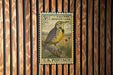 A vintage U.S. postage stamp from Eastern Meadowland is displayed on a wooden wall.