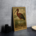 A framed illustration of a red bird, possibly a stork, standing in a grassy field with a body of water in the background.