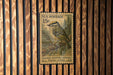 A U.S. postage stamp featuring a golden-crowned kinglet perched on a pine branch.