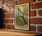 A vintage U.S. postage stamp featuring a gray catbird perched on a branch, with yellow flowers in the background, mounted on a brick wall.