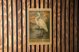 A framed illustration of a great white heron is displayed on a wooden wall.