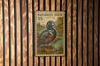 A vintage postage stamp featuring a harlequin duck, with the text "HARLEQUIN DUCK 15" printed on it.