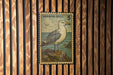 A postage stamp featuring a seagull standing on a rock, with a wooden background.