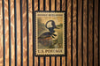 A U.S. postage stamp featuring a hooded merganser duck, mounted on a wooden wall.
