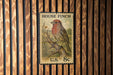 A vintage-style postage stamp featuring a colorful illustration of a finch perched on a branch, mounted on a wooden wall.