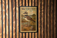 A postage stamp featuring a bird, specifically a killdeer, is displayed on a wooden wall.
