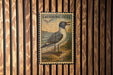 A metal sign with a bird illustration and the text "LAUGHING GULL" is displayed on a wooden wall.