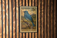 A U.S. postage stamp featuring a blue bird, specifically a mountain bluebird, perched on a branch.